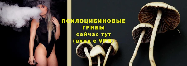 тгк Беломорск