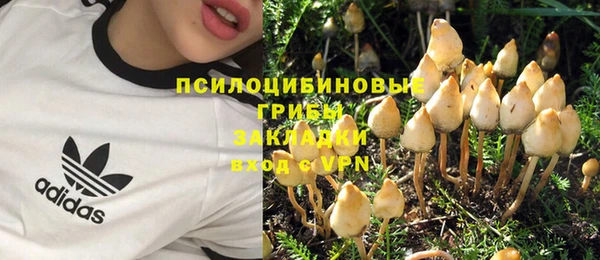 тгк Беломорск