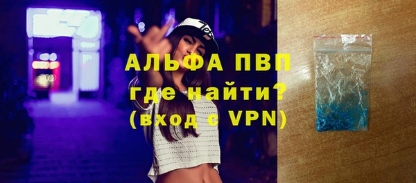 стаф Белокуриха